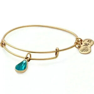 NWT! Alex and Ani December Drop Charm Bangle